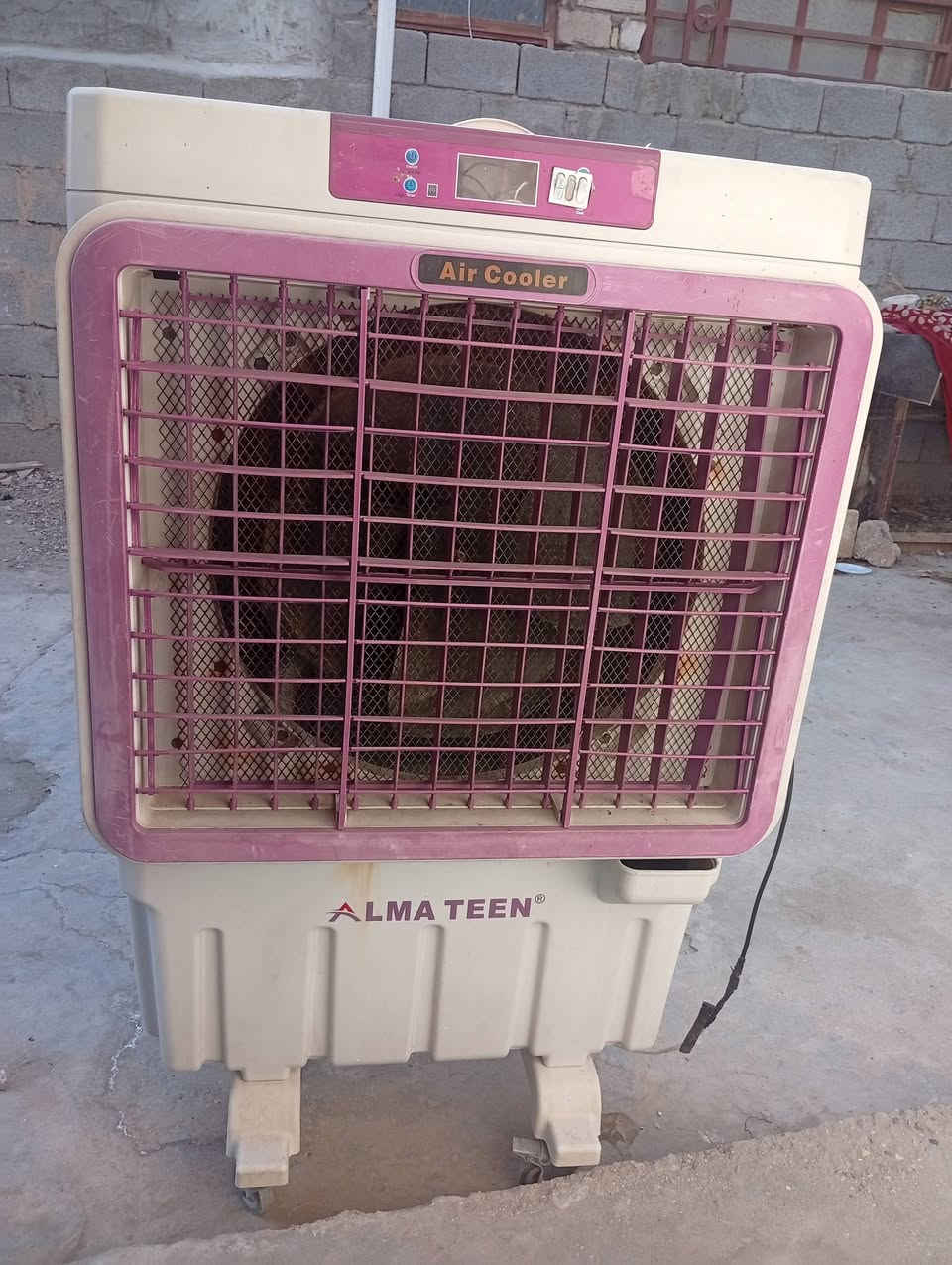 مبرده شرط اشغل انضافه موجوده بصوره اسعر 75 عنوان اطويريج الحولي مقابل مطعم القنديل


**إذا كنت صاحب هذا الإعلان وتريد حذفه لأي سبب، رجاءا أرسل رسالة إلى الدعم الفني**