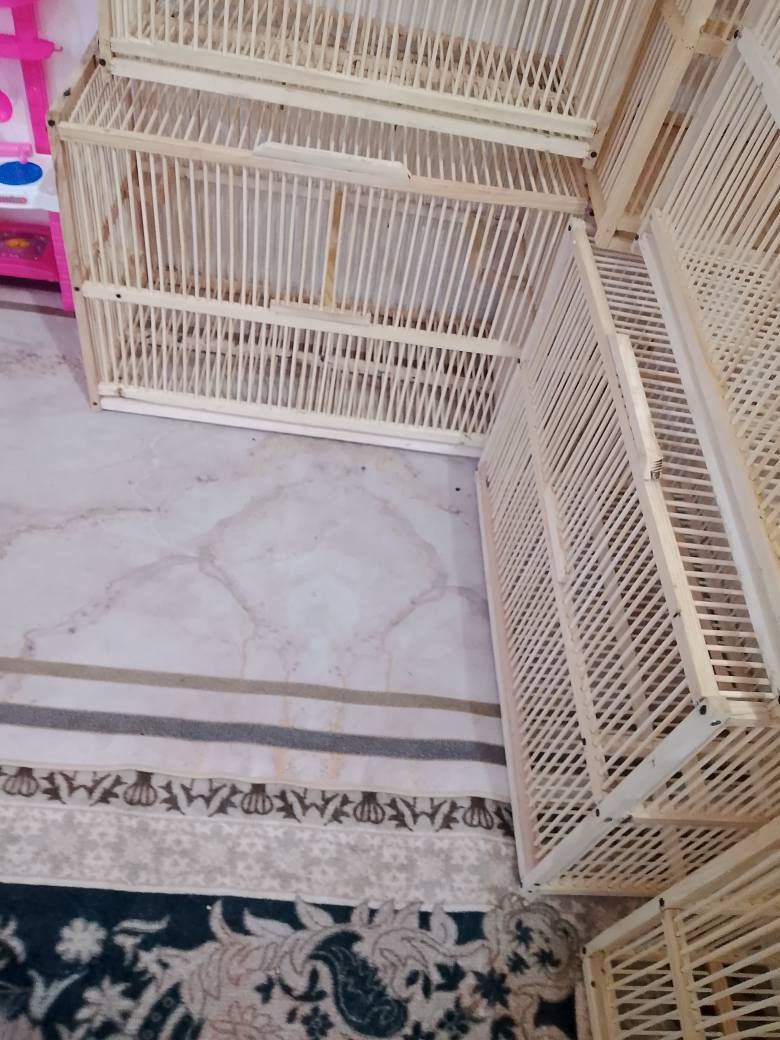 مستعدون تجهيز المحلات البيع جمله ومفرد 15 الف القياسات 60 واجهيه نزال 30 ارتفاع 50 ويوجد قفاص واجهيه 70 ونزال 35 ارتفاع 50 ويوجد قفاص صيادي كل هذه العروض القفص 15 الف العنوان البصره القبله حي المهندسين مسافه عن فلكه هاتف *********** يوجد وتساب البصرة, العراق
