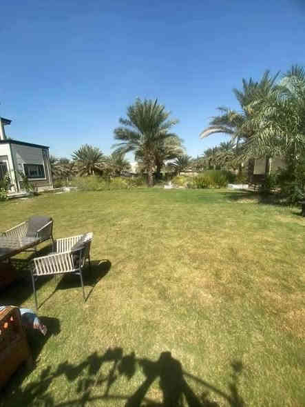 #دونم_للبيع_وجه_32_اونزال_73  دار متكون 
من 5غرف نوم+دارين بل خلف كل بيت معزول عن الثاني 

كل بيت يحتوي على ٢غرف نوم أوصاله ستقبال مطبخ 

جاهزات للسكن المجموع 3بيوت في الدونم 

طابو سند 25ينزل اسمك بل سند العنوان بغداد الدوره مدخل 

البعيثه قرب شيخ زوين البيوت الي بل خلف جاهزات للسكن 

الستفسار *********** *********** ***********
