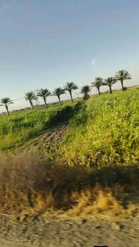 اخواني الاعزاء #للبيع 2دونم طابو زراعي سند 25 الارض كلش حلوه مرتبه موق...