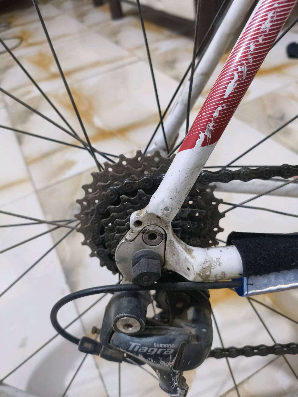 بايسكل سباق من شركة SCOTT العالمية .
مع گيرين امامي وخلفي الامامي نمرتين والخلفي 9 نمر ف يصير سباق ويصير جبلي .
البايسكل كامل من الالمنيوم آلوي واجزاء من الكاربون فايبر فيكون جدا خفيف حوالي ال 3 كيلو (ينشال بتك ايد) لزيادة السرعة وسهولة التنقل . 
سعر الجديد مالته اكثر من الف دولار حسب الاصدار واني ابيعه ب 500 الف لان بيه فطر ولحمته لحيم اوكسجين . توصل متوفر داخل بغداد فقط