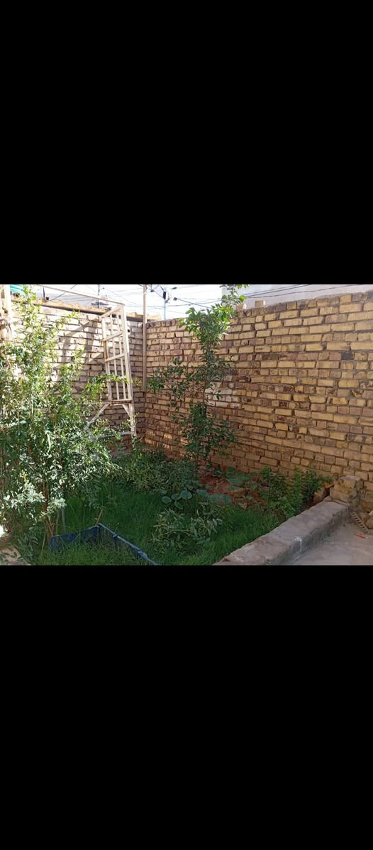 بيت للبيع ابو خستاوي جهه المرور فرع سيد علي مساحته 220 طابو زراعي سند 25 طابقين 4غرف نوم مجمع صحي فوك وجوه +حديقه صغيره سعره 110 وبي مجال ***********
