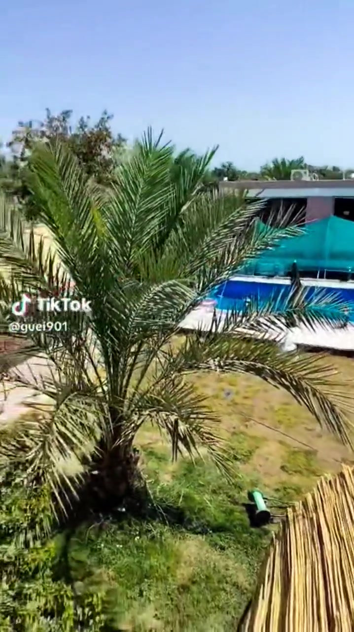 مزرعة أغصان الزيتون الترفيهية 
العنوان📍ابو غريب قرب جسر زيتون مقابل مجمع اسد بابل 
📎المحتويات
🔵غرفتين 
⚪️ صالة كبيرة 
🔴مطبخ حار وبارد 
🟢 صحيات متكاملة 
🔵 مسبح كبير + مسبح صغير  🛝 
🟣م العاب للاطفال  🎾🎯
🟠 بليارد + منضدة🏓 + فيشة 🥇
⚫️باربكيو شواء + تنور طين
📞+*********** واتساب
