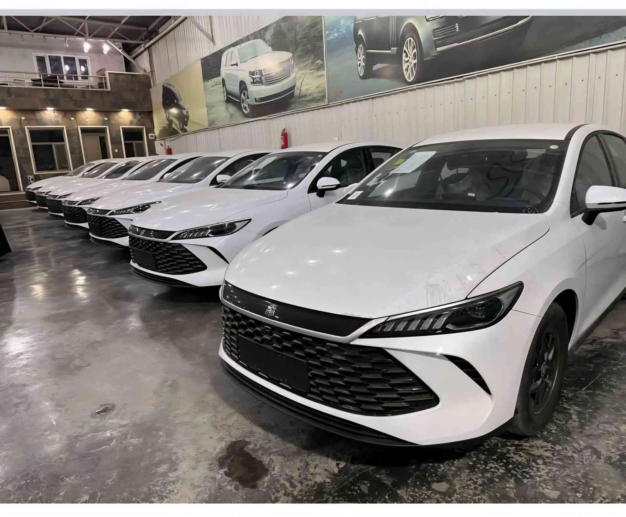 نبيع بلتقسيط. والنقد.والمفرد
***********.***********
سيل فايف.كن.بللاص.دستروير.
كن الل.سونك بللاص.سونك L.
سونك برو.سيللون فايف.
ابو ليث الزبيدي
