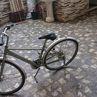 بسكليت فول • نضيف • بغداد المشتل