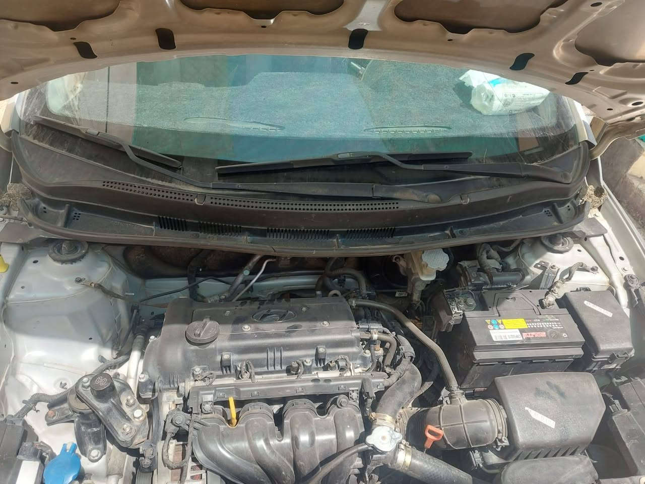 من رخصت الأدمن اكسنت للبيع اخوان اني مكلف بلنشرللبيع السيارة مال صيدلاني مال جناي سيارة جديدة ابمعنه الكلمه بيها شويه يم قبق البانزين كدشبر السيارة جاهزة العنوان ديالى بعقوبه موديل ٢٠١٦ اخوان باقي الموصفات اتصل وفهمك العنوان ديالى بعقوبه التحرير رقم الهاتف ***********السعر ١٠٠ بيها مجال
