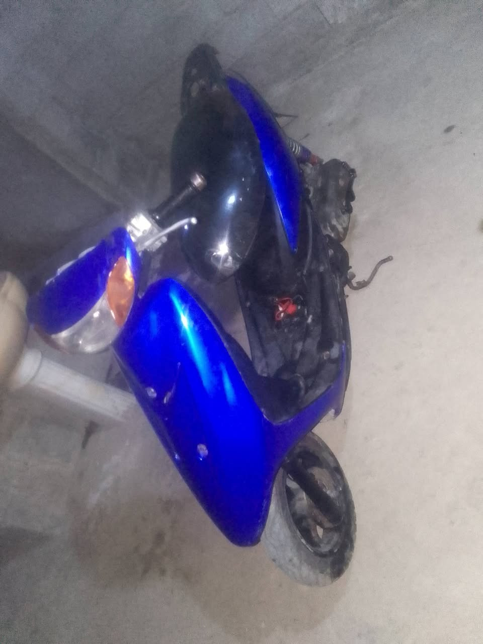 السلام عليكم عندي دراجة عصفوريه فحل نضيفه للبيع لسعر 350بيها مجال رقم واتساب *********** مكاني بغداد الدوره
