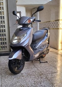 سكنس ياباني • نوزل خطين • كفالة عامة