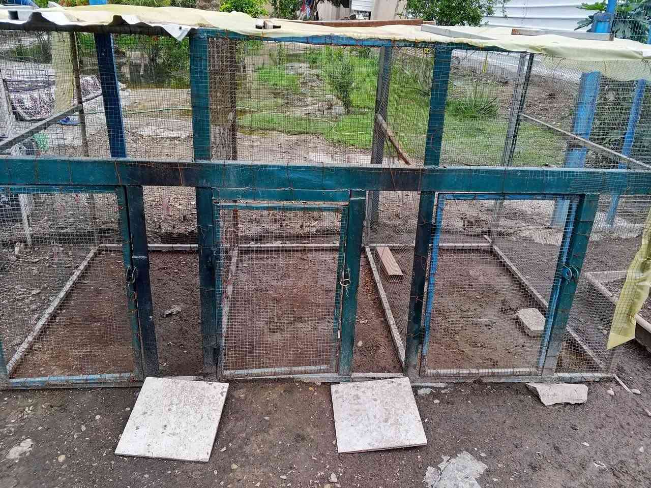 السلام عليكم....متوفر قفص مقسم الى ثلاث خانات وحديد ثقيل وسيم مغلون قفص تعبان علية وسعرها مناسب ...مكاني بغداد....السعر ١٥٠ مع المجال ..ليريد يراسلني خاص


**إذا كنت صاحب هذا الإعلان وتريد حذفه لأي سبب، رجاءا أرسل رسالة إلى الدعم الفني**