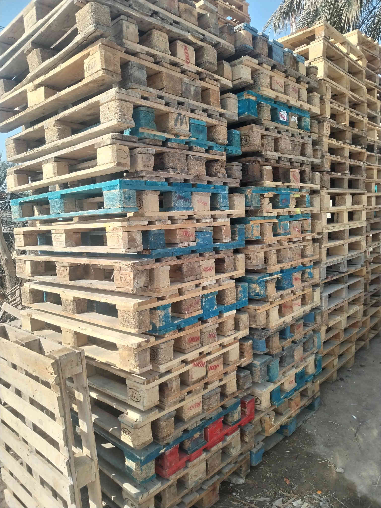 سلام عليكم سكيب العدد ٣٠٠ سكيبة بلكوت *********** كوت حي لحكيم الثانية
