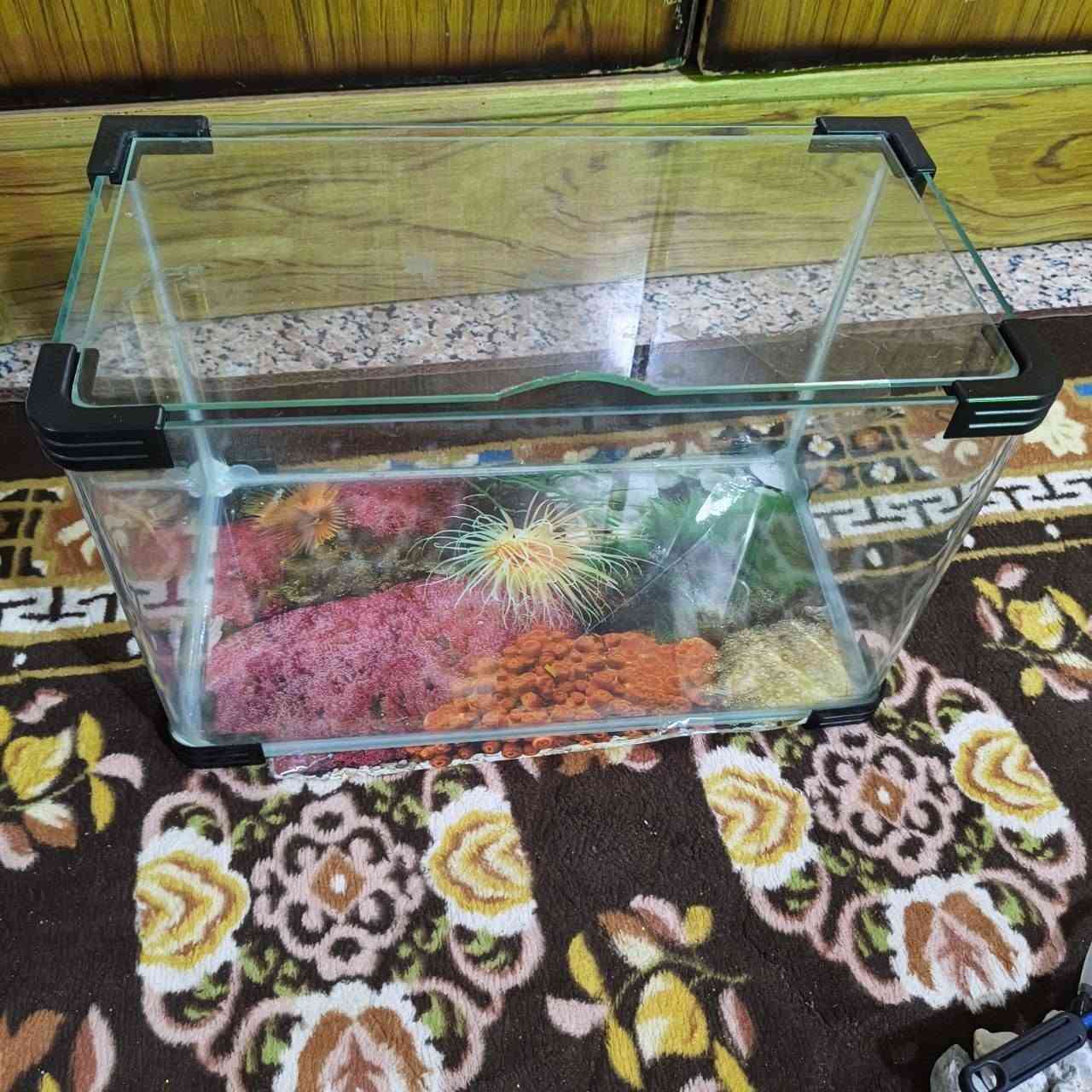غراض ال بيع حوض سمج وريمود طياره درون  جدد طيرت طياره واضاعت وبقه ريمود كلهن غراض ب37 وبيهن مجال ***********
