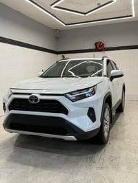 راف فور بريموم • دبل • ٢٠٢٤