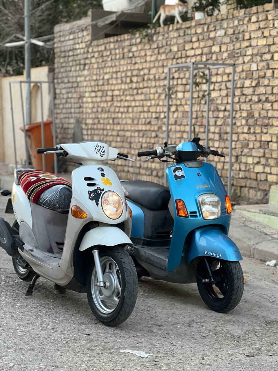 السلام عليكم دراجه للبيع مايحتاج احجي مواصفات دراجه رمبه صاللها 10 ايام نازله من العزيزيه بيدي اكفلك حته التراب البيها ***********  بس واتساب او تعلق واني اراسلك سعر 1100 وبيها مجال للطيبين وتحياتي 🌀🌀
