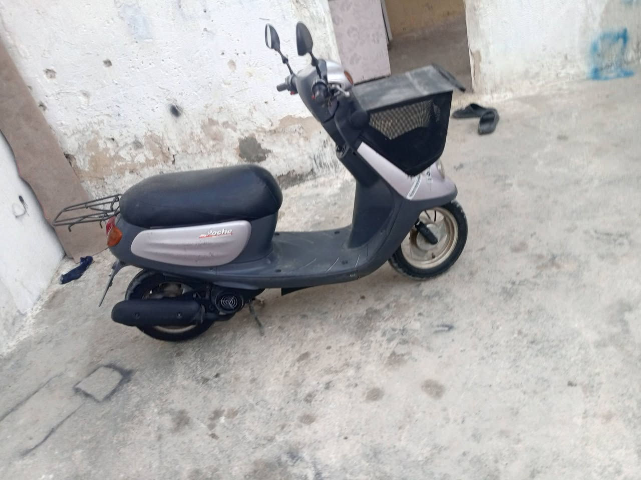 دراجه منغولي 2003 العنوان كربلاء حي الغدير دراجه كل شيء شغال محرك بلادي والشراي يتصلمالسعر السعر 400 وبيها مجال والشراي يتصل على الرقم***********
