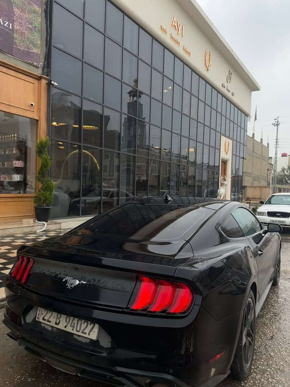 موستنك 2022 ايكو بوست   
رقمها اربيل 
نص مواصفات شاشة جبيرة  رادارات نقط عمياء داخلها احمر مبدل جلد 
ضربتها جاملغ وبيند 
السيارة ماشية 43 الف ميل وقابل للزيادة 
للتواصل ***********
مكاني نجف
