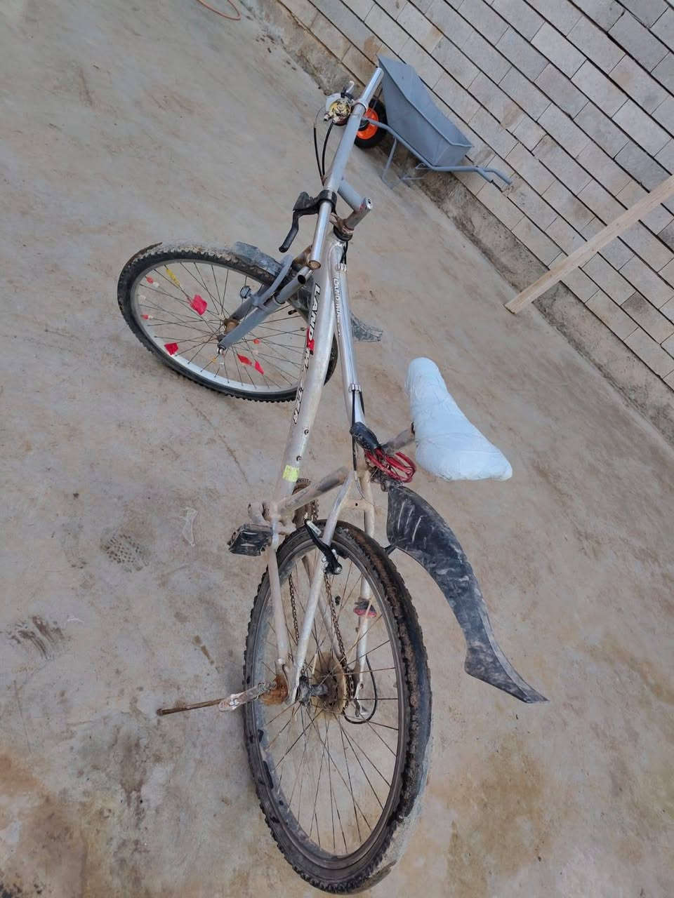 سلام عليكم ورحمه الله وبركاته بايسكل ياباني لشه ياباني  السعر 45 بي مجال


**إذا كنت صاحب هذا الإعلان وتريد حذفه لأي سبب، رجاءا أرسل رسالة إلى الدعم الفني**