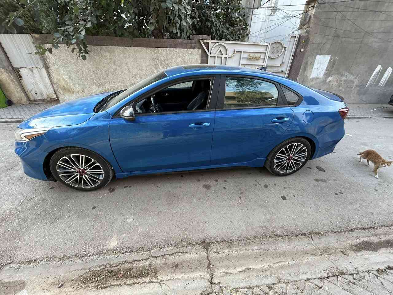 يا الله
كيا فورتي فول ١/١ 

ماشية 50 mi

الموديل :2022

لون :ازرق جويتي 

محرك: ١٦٠٠ تيربو 

فئة :GT دبل كزوز 

التفاصيل صور الحادث والسونار  كلها بل منشور

مواصفات 

1_شاشه 

2_كامره خلفية 

3_رادارات اربع جهات 

4_مانع انزلاق 

5_تحديد مسار +تنبيه خروج عن المسار 

6_فول تحكم ستيرن + شفتات ستيرن 

7_قيادة ذاتيه 

8_تحكم وضعيات قيادة 

9-ابل كار بلي وايرلس 

10-قطعتين تبريد

11-كشان جلد + تدفئة تبريد 

12-فتحة + بصمة                                             

13-اشاير بل مري     
    
-14ويل كب  
        
حادث جاملغ امامي  وبنيد  

  اير باك ستيرن طاك 

 بأسمي السياره 

عنوان :بغداد البلديات 

السعر ١٤٠ وبيها مجال ان شاءالله  

استفسار *********** بي واتساب
