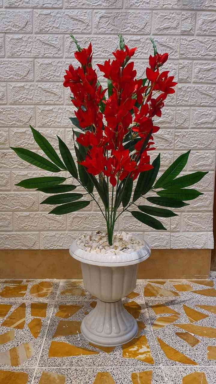 ❤️عرررض خاص لفترة محدودة ❤️


**إذا كنت صاحب هذا الإعلان وتريد حذفه لأي سبب، رجاءا أرسل رسالة إلى الدعم الفني**
