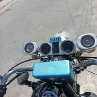 ستوته • فحل • ٢٠٢٠