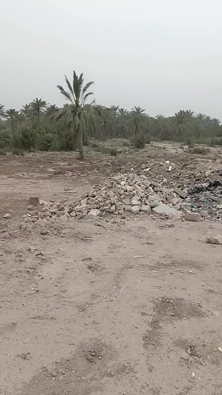 السلام عليكم كاع البيع بزديناويه تصير عله شط الحلو الوجهيه 30والنزال 40
‏‪***********‬‏ وتساب
