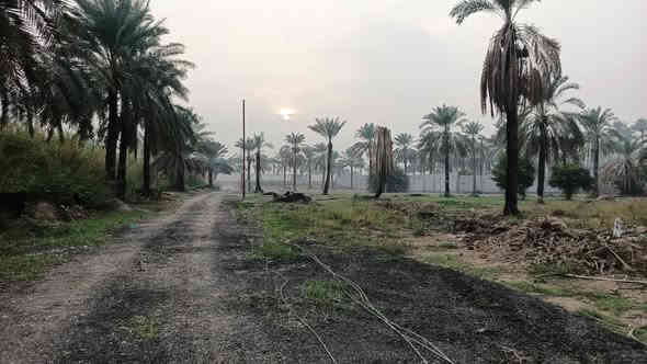 يا الله سلام عليكم ١٦٠٠ متر البيع طابو سند ٢٥
العنوان المدائن منطقة جعاره
تحويل مباشر بسمك  
الوجهة ٢٣  
نزال ٦٩
تبعد عن سعد ١٥٠ متر شارع كله مزارع
الاستفسار اتصال برقم ***********
