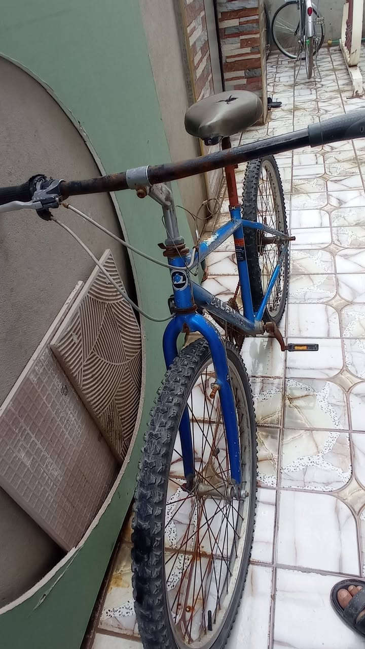 السلام عليكم 
بايسكل للبيع 
الويل الخلفي بي عواج قليل ابيعك ويل الخلفي تريد يتعدل ب2000 وتريد بدله 
بريك خلفي فقط 
مكان الموصل//حي السماح 
السعر 25 
للتواصل ***********
