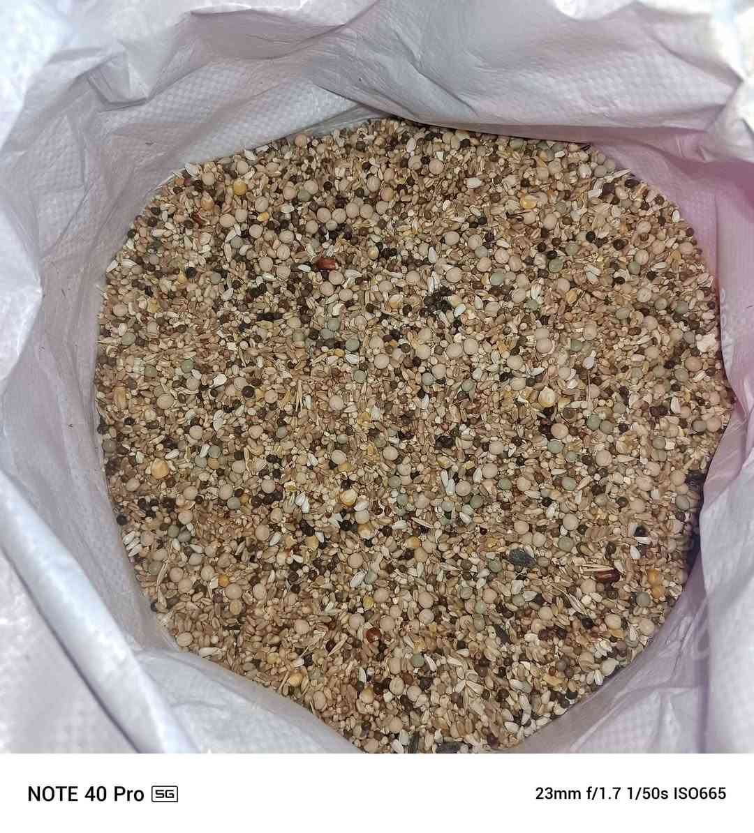 علا بركة الله تم افتتاح محلات ابو فلاح لبيع الاعلاف 
الطيور بانواعه 
و اعلاف المواشي 
باسعار مناسبه 
باداره حسن /***********
العنوان النصر المدخل الاول مجاور صدام ابو الدجاج
