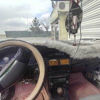 ئەم کرۆلایە بۆ فرۆشتن سعری 8 گەڵایە 07518679088