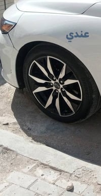 ويل مراوس • نظيف • بغداد