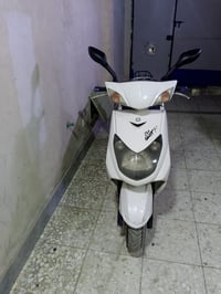 دراجه سكنس فحل ابلاديه ابلاديه مكفوله كفاله عامه مكينتها حيل ناعمه سلف...