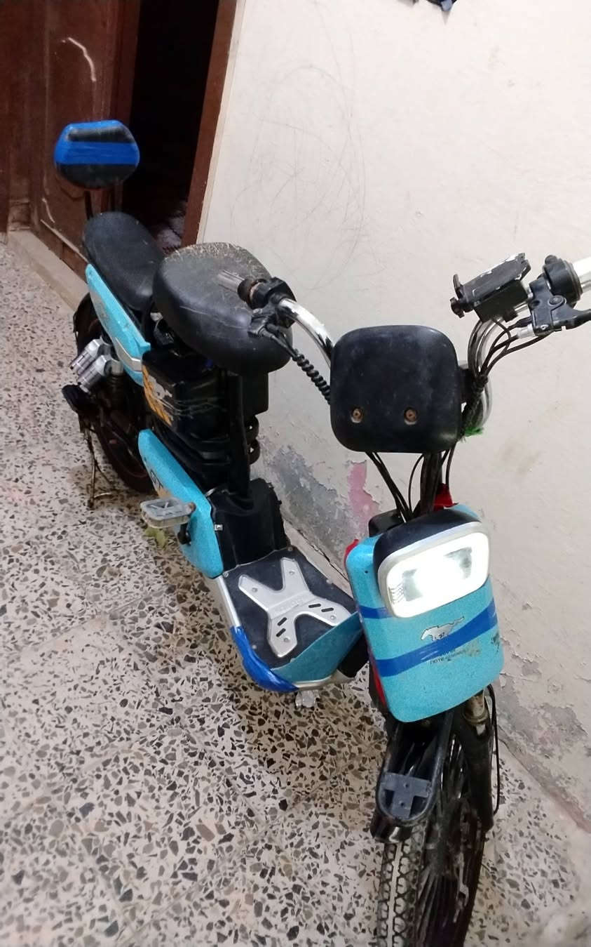 مراوس بدراجه شحن انطي فرق 25


**إذا كنت صاحب هذا الإعلان وتريد حذفه لأي سبب، رجاءا أرسل رسالة إلى الدعم الفني**