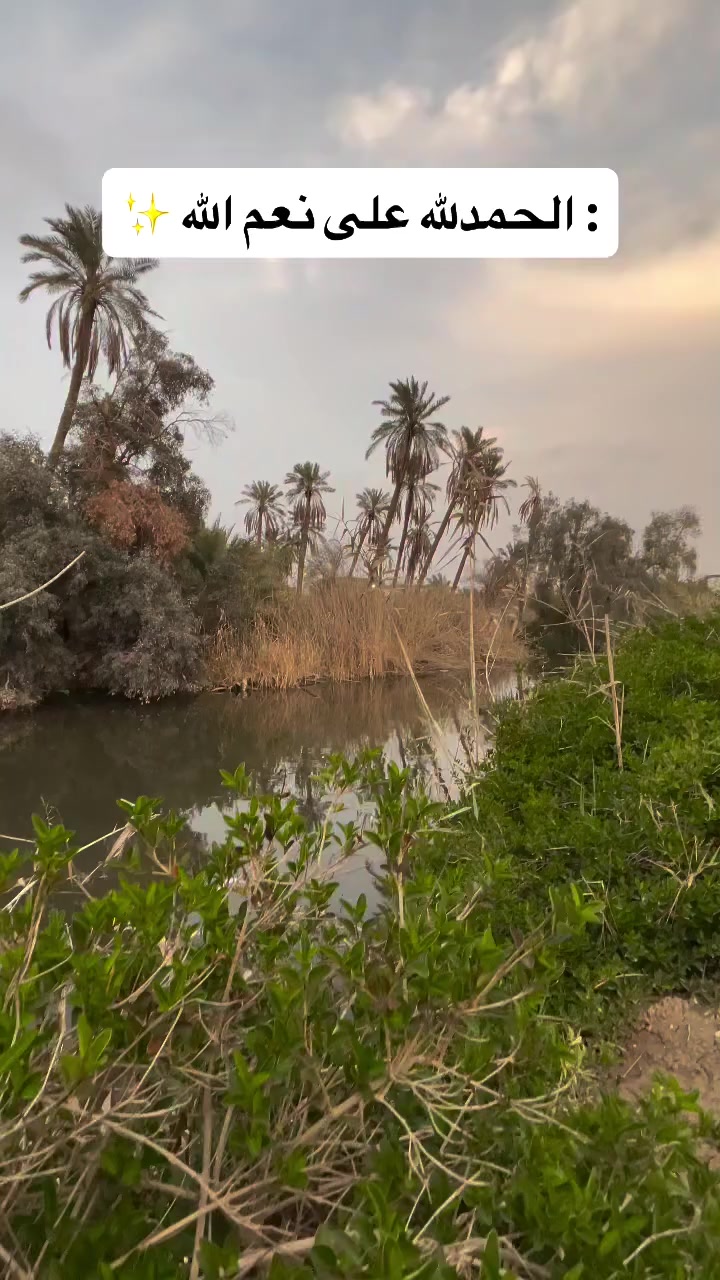 بستان للبيع …

مع اربع دور سكنيه وديوان 
على شط السراجي مباشرتاً 

مساحة 2000 م 

البصرة السراجي 

***********
***********
