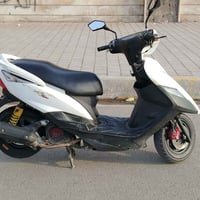 دراجة ثعلب • كفالة عامة • مدينة الصدر