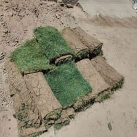 زادن • ١٩م • اتصال فقط