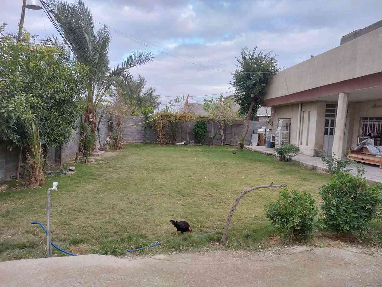 بغداد سويب شاخه6_ ***********
