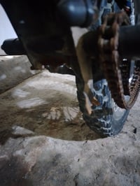 المشتل بغداد • تعميره • اوراق مو كلك