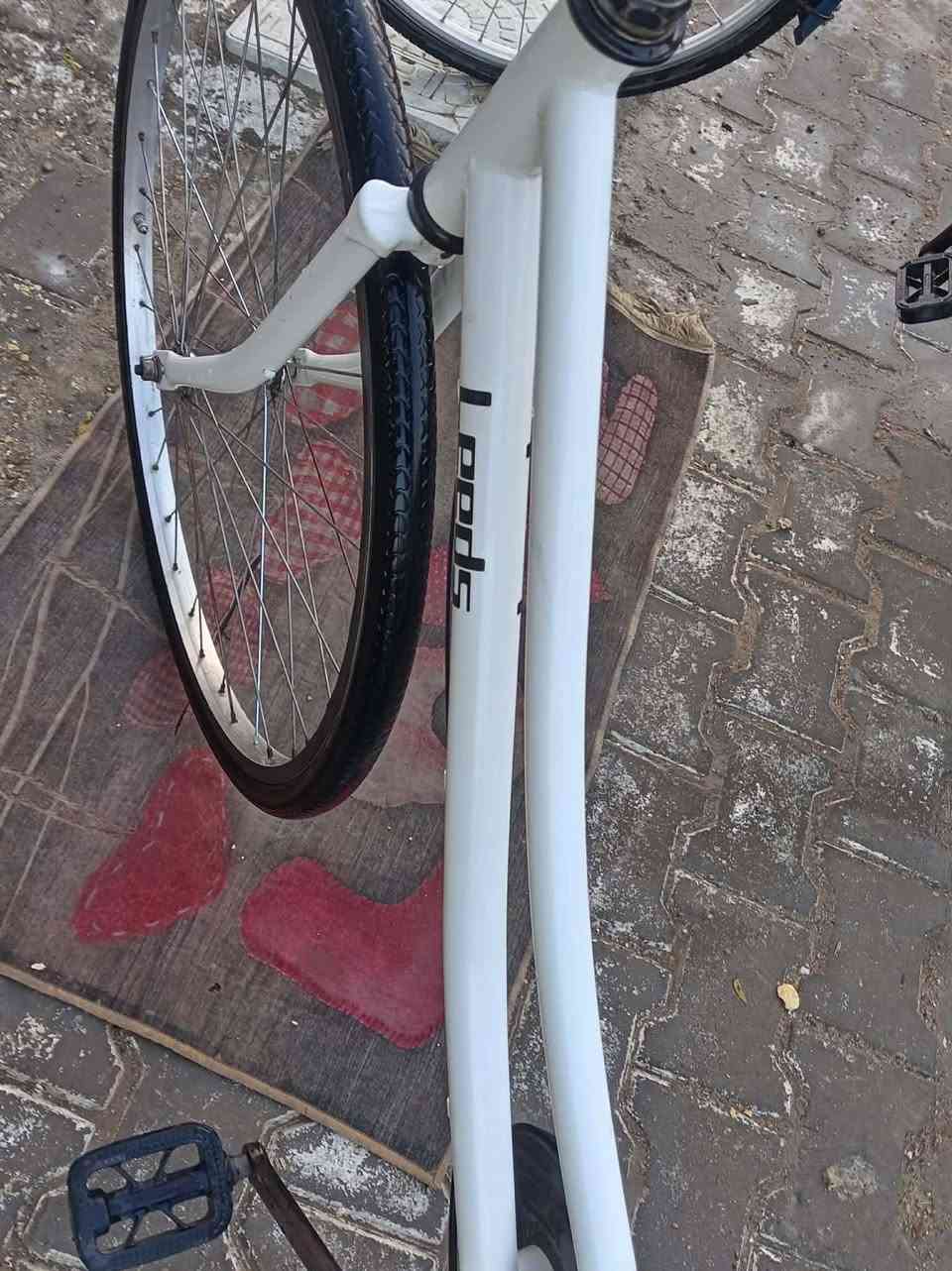 سلام عليكم 
باسكل ليتز البيع او مراوس
مكاني نجف توصيل موجود
نضافه ٩٦/١٠٠
تفاصيل خاص


**إذا كنت صاحب هذا الإعلان وتريد حذفه لأي سبب، رجاءا أرسل رسالة إلى الدعم الفني**