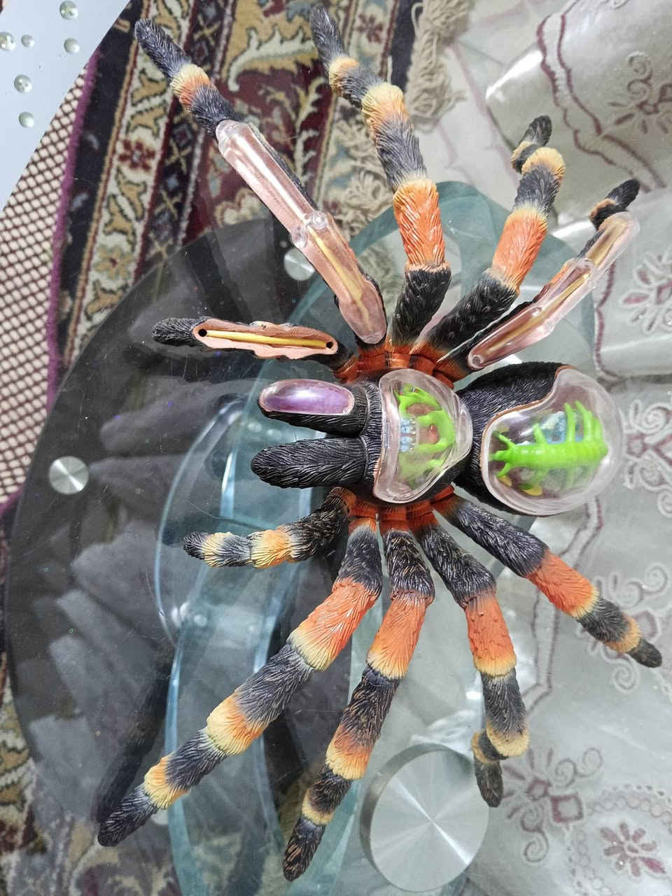 🕷️✨🔬 مجسم تشريح رتيلاء تعليمي احترافي 🔬✨🕷️
🎯 مو لعبة عادية… قطعة تعليمية مميزة ومختلفة!
🟢 ينفتح ويعرض الأعضاء الداخلية بشكل واضح
🟠 تفاصيل دقيقة وألوان ملفتة
🔵 مناسب لمدرسين الأحياء والطلاب
🟣 يفيد بالشرح العملي ويجذب انتباه الطالب
🟡 حجمه كبير وحالته نظيفة جداً
📚 مثالي للمرحلة المتوسطة والإعدادية
🎁 يصلح للعرض التعليمي أو كقطعة مميزة للعرض
🚚 متوفر توصيل بغداد والمحافظات
🔥 قطعة قليلة بالسوق لا تفوتك
📩 للحجز والاستفسار خاص


**إذا كنت صاحب هذا الإعلان وتريد حذفه لأي سبب، رجاءا أرسل رسالة إلى الدعم الفني**