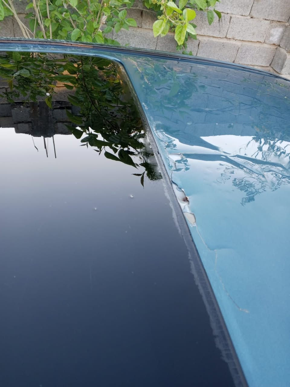 سوناتا ٢٠٠٦ مصبوغه عام بغداد تحويل ثاني يوم صار بيه تكشير ب القماره بيه تصليح ب التكمه الخلفيه مكفوله من الكص والعيب الشرعي مكينه ٦سلندر صدر نص عمر 
مكان الشعله أو الدولعي 
السعر ٧٣ وبيه مجال 
***********
