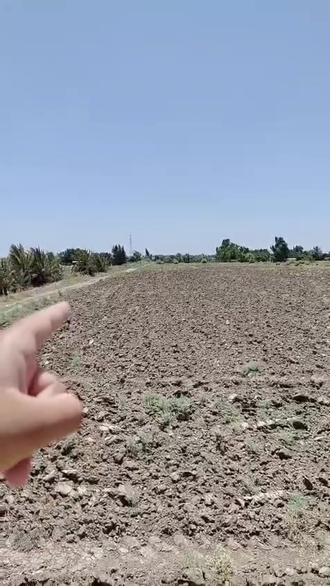 دونمين للبيع بيها كل الخدمات مي كهرباء تبليط وسند 25 موقع بغداد ناحيه الرشيد صخريجه  تتصال عله هاذه رقم ***********
