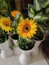 سنادين ورد • المجمع أبو عبدالله • توصيل