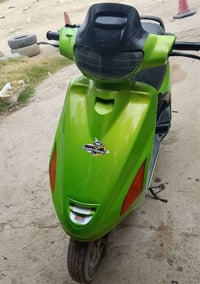 فراشه • فحل • نظيفه