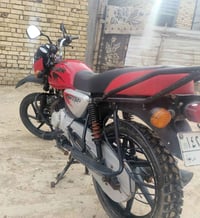 بوكسر • ٢١ • مرقم