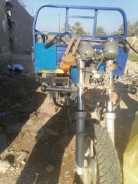 ستوته • نضيفه • الإسكندرية