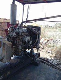 مولد • دويز بلادي • ٨٥ كيفي