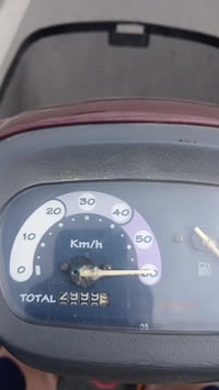 منغولي • مامفتوحه • فحص