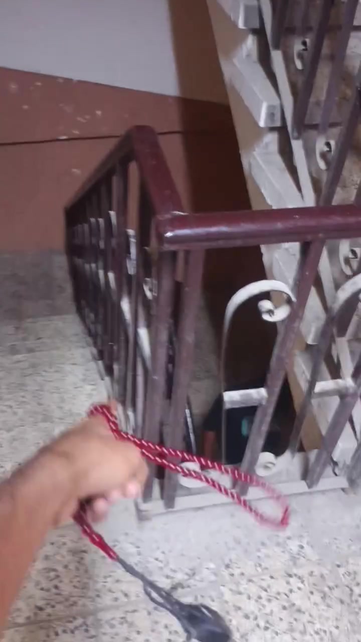 🏚️للإيجار شقة طابق اول🏚️✅
📍الشعب ➖ شارع الصحه

✅تحتوي على

 1️⃣استقبال 

2️⃣وغرفتين نوم

3️⃣ومطبخ

4️⃣وخدمات 

🔒ايجارهه 325 قفل

✅للاستفسار الاتصال على الارقام..

🟣كرار الزبيدي

📲***********
