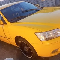 سوناته • ٢٠١٠ • ضربة خلفية