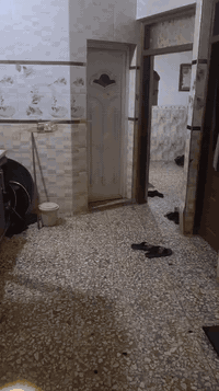 للايجار شقه 50م طابق ارضي معزوله فقط وحده على شارع 60 دوانم قبل سجه ***********محمد
