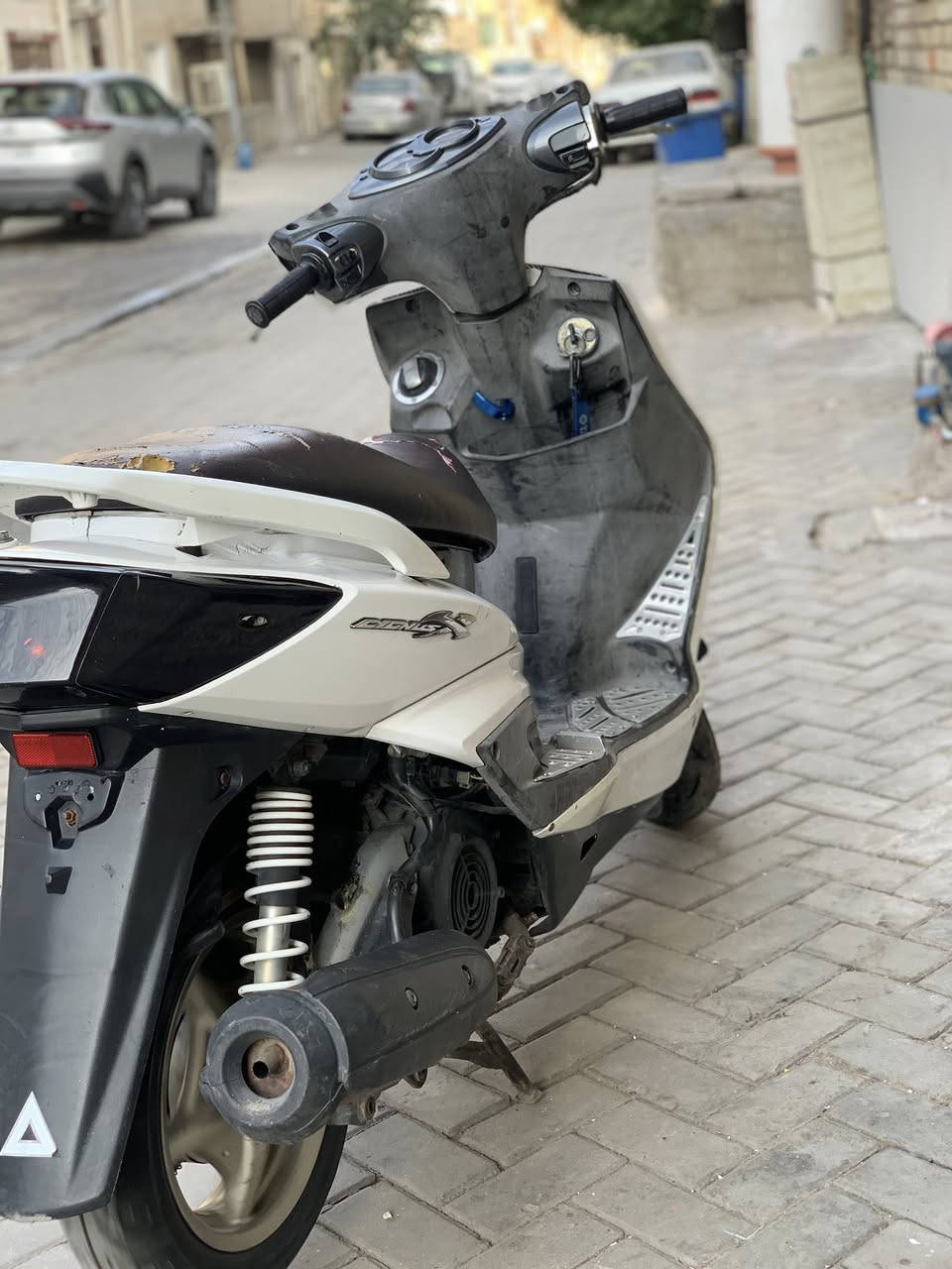 متاح سكنس فحل ياباني السعر٨٠٠رقمي***********
